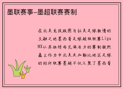 墨联赛事-墨超联赛赛制